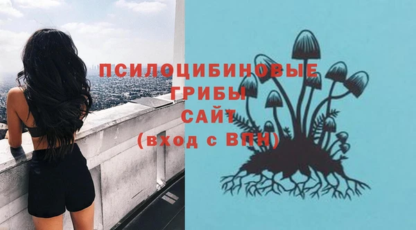 тгк Верея